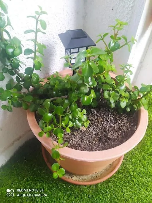 Etxalo, Apartamento Con Terraza En Gorliz